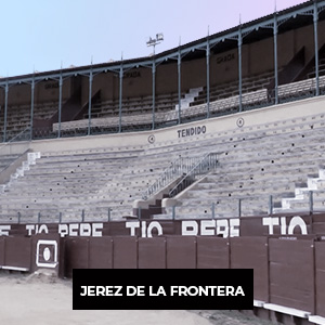 Toros en Jerez